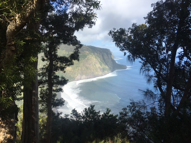 Waipi’o Valley Lookout