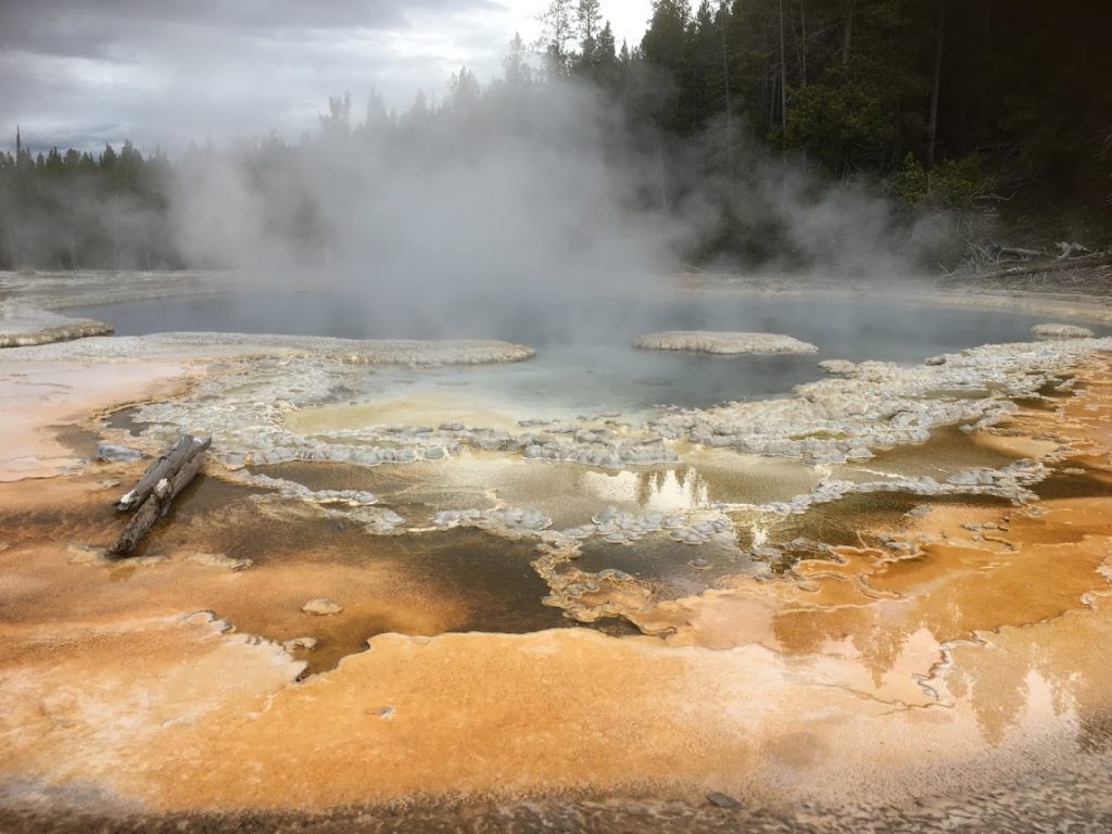 Geyser at Yellowstone National Park