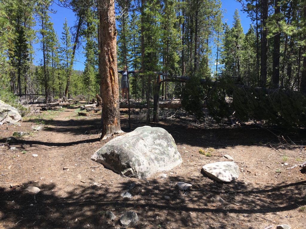 Hiking train paths