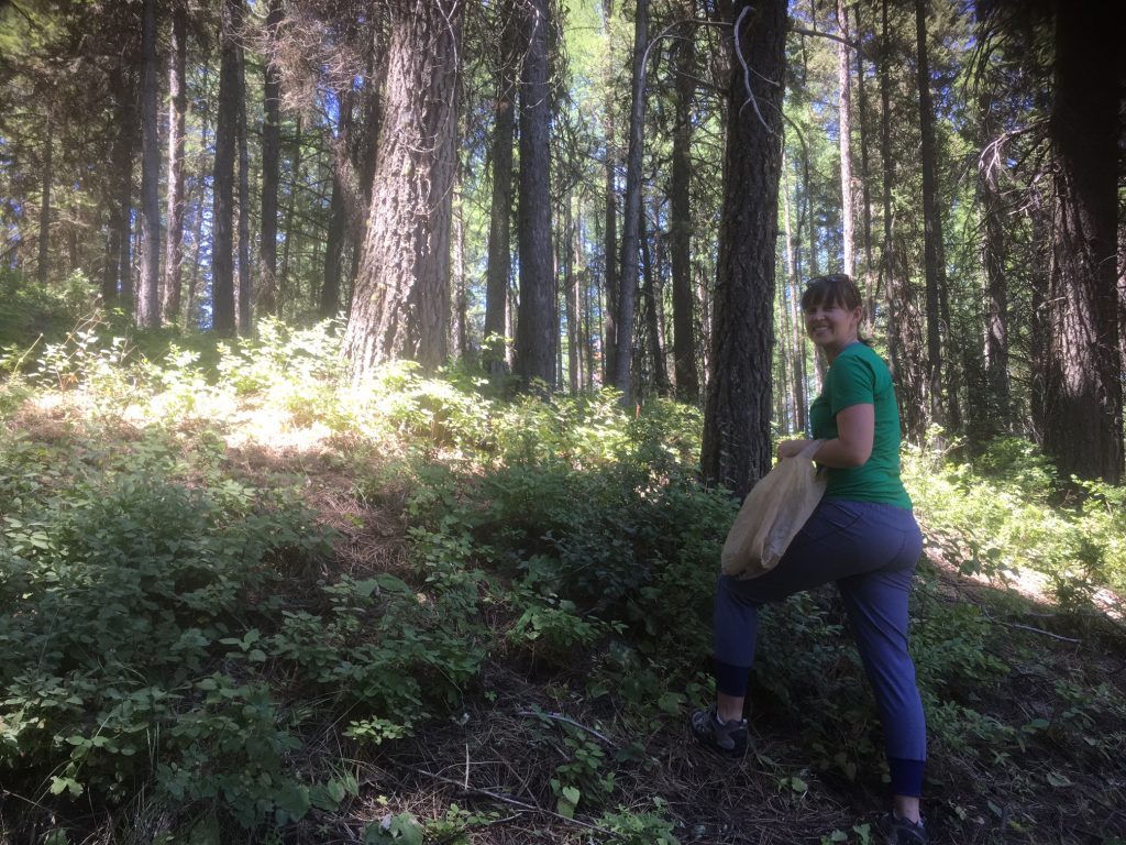 Huckleberry picking in Idaho, girl in woods, exploring your own backyard