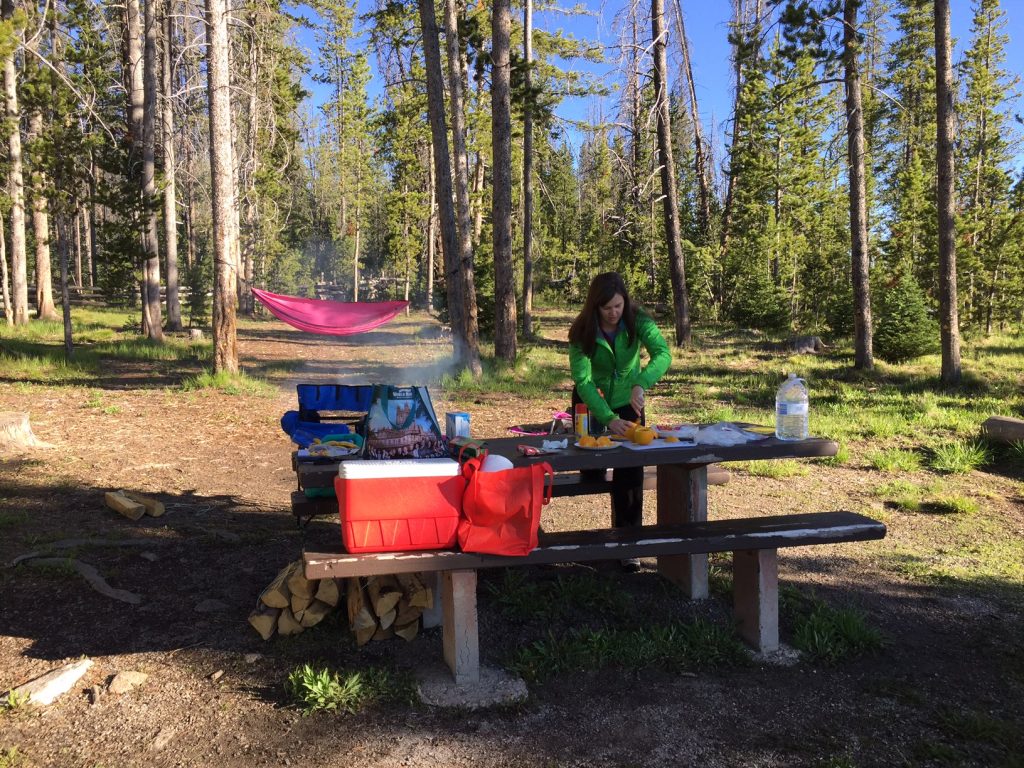Sawtooth Camping Site
