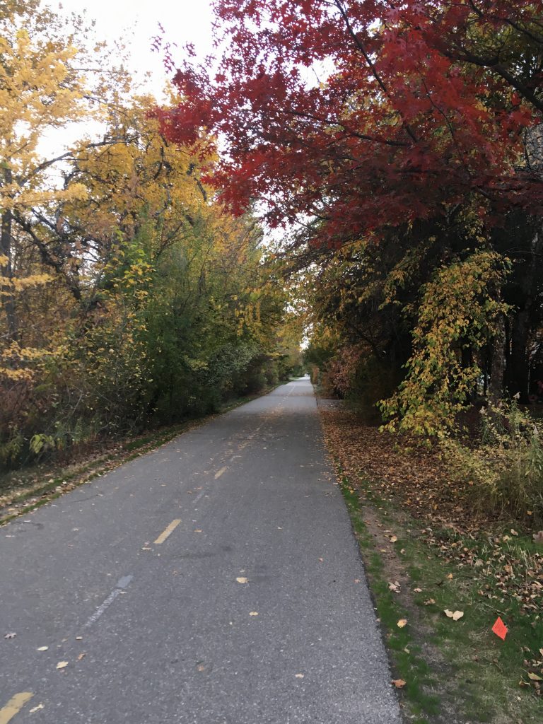 bike path Greenbelt fall
