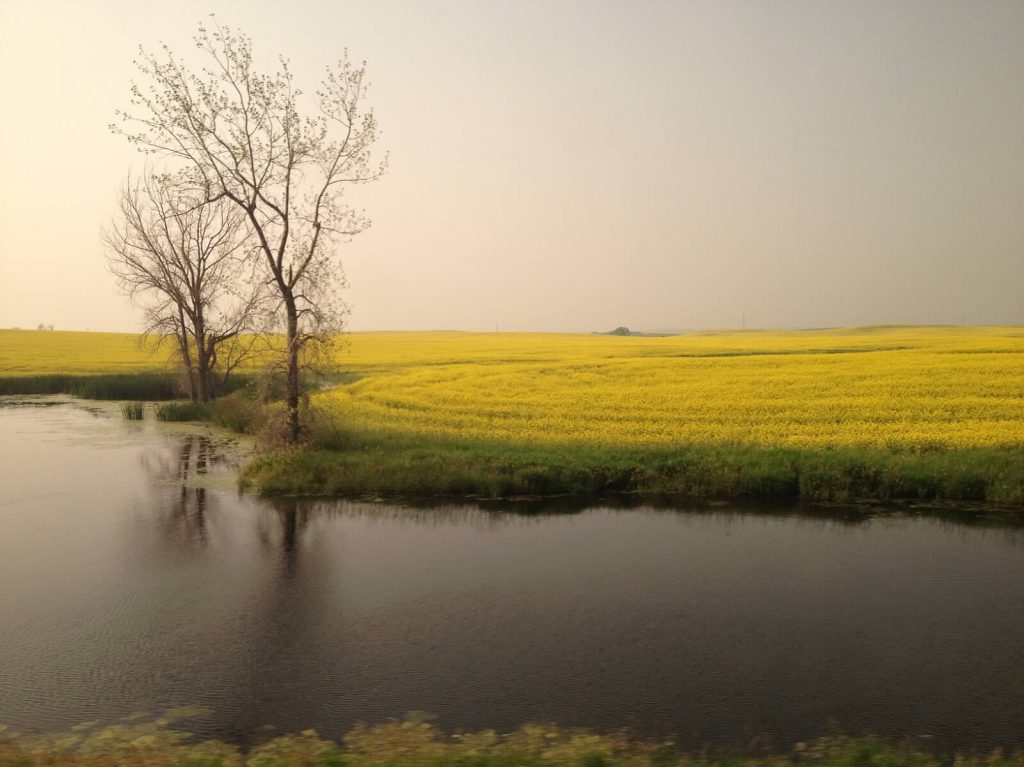 North Dakota, train travel, window views, farm