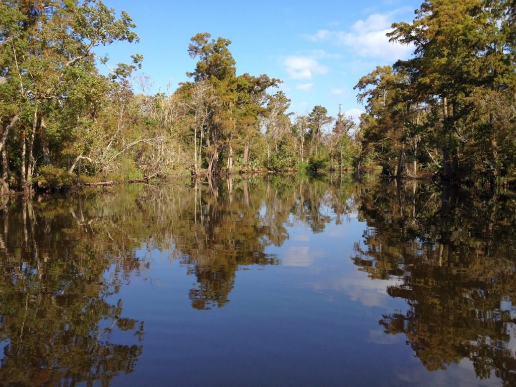 Louisiana swamp road trip through the south