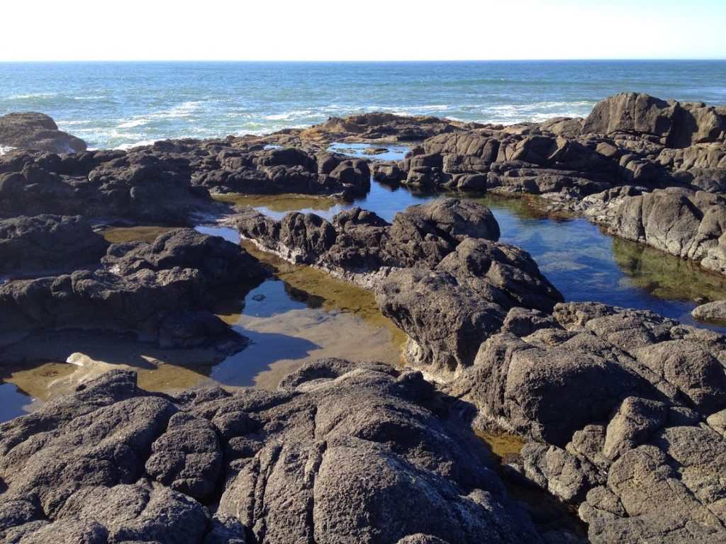 Yachats Oregon tide pools