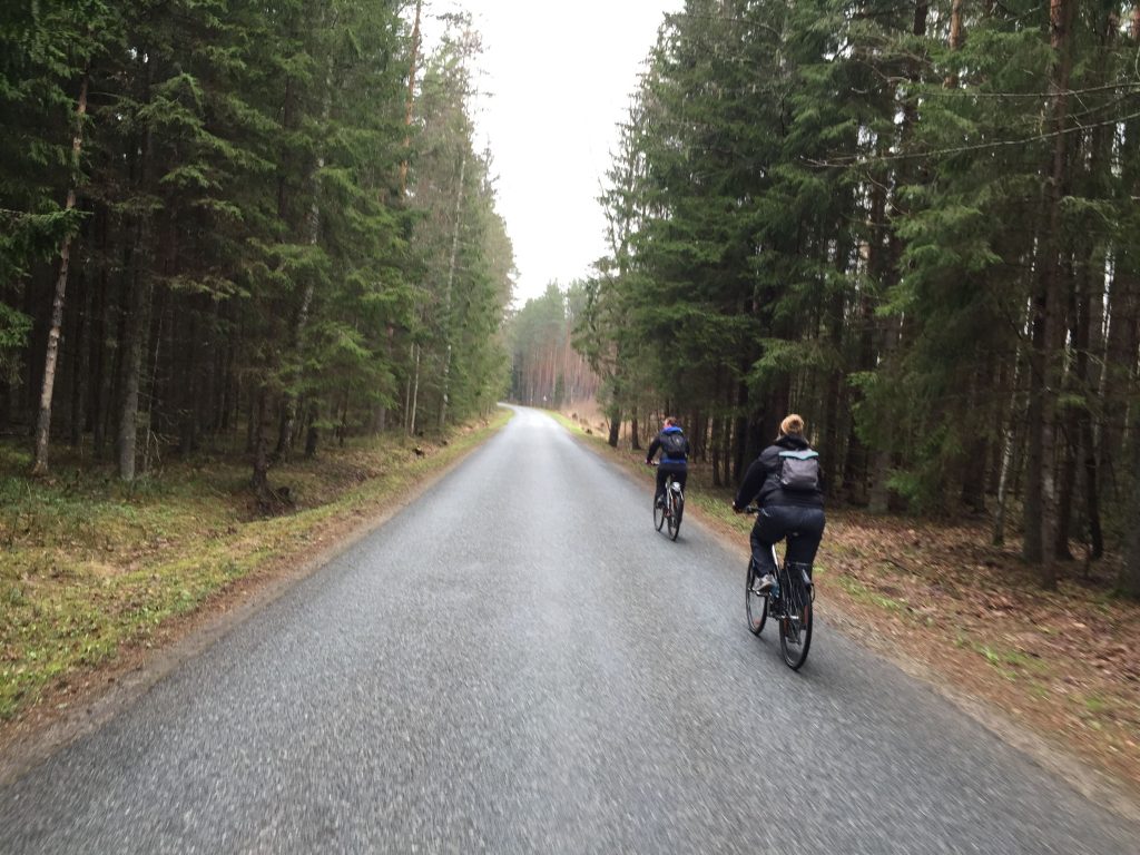 Biking in Estonia