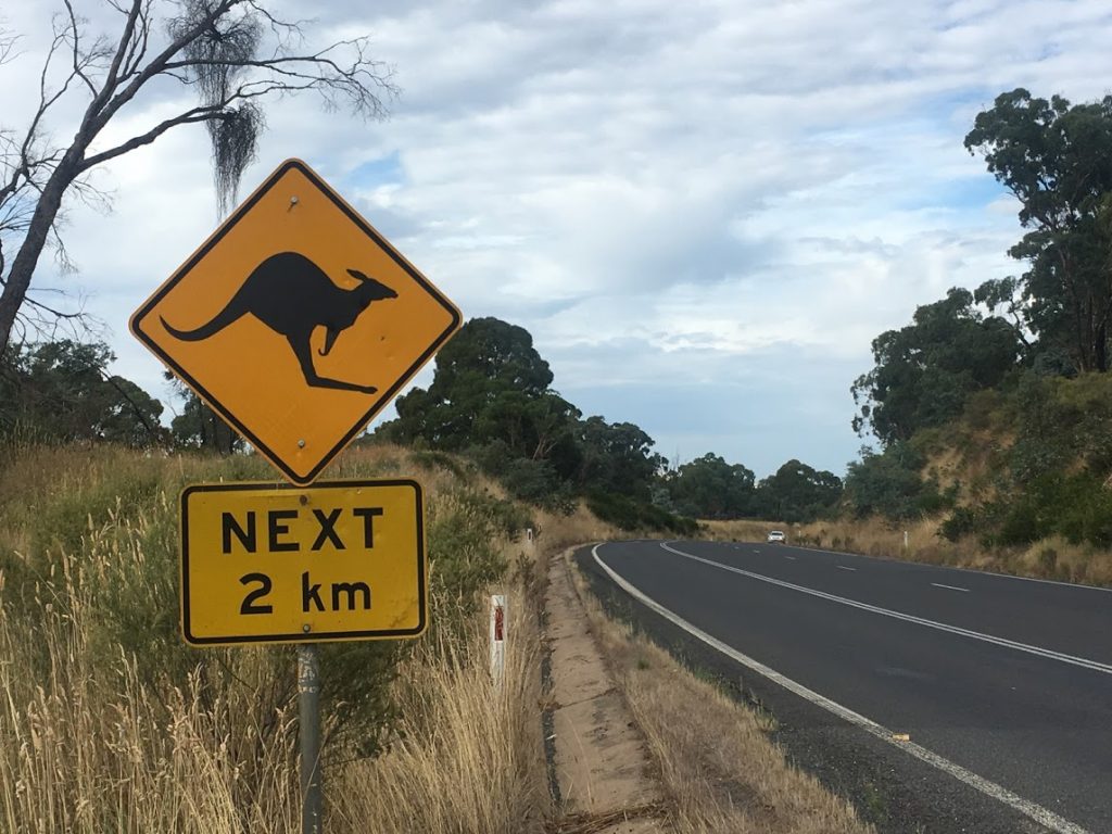 Kangaroo crossing road sign in Australia, work-life balance, travel, vacation