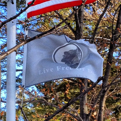 NH Flag and motto