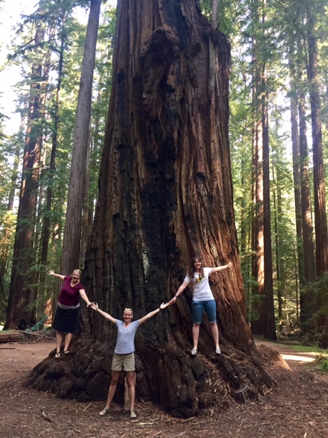 ideas for a girls' weekend include exploring redwood trees in California