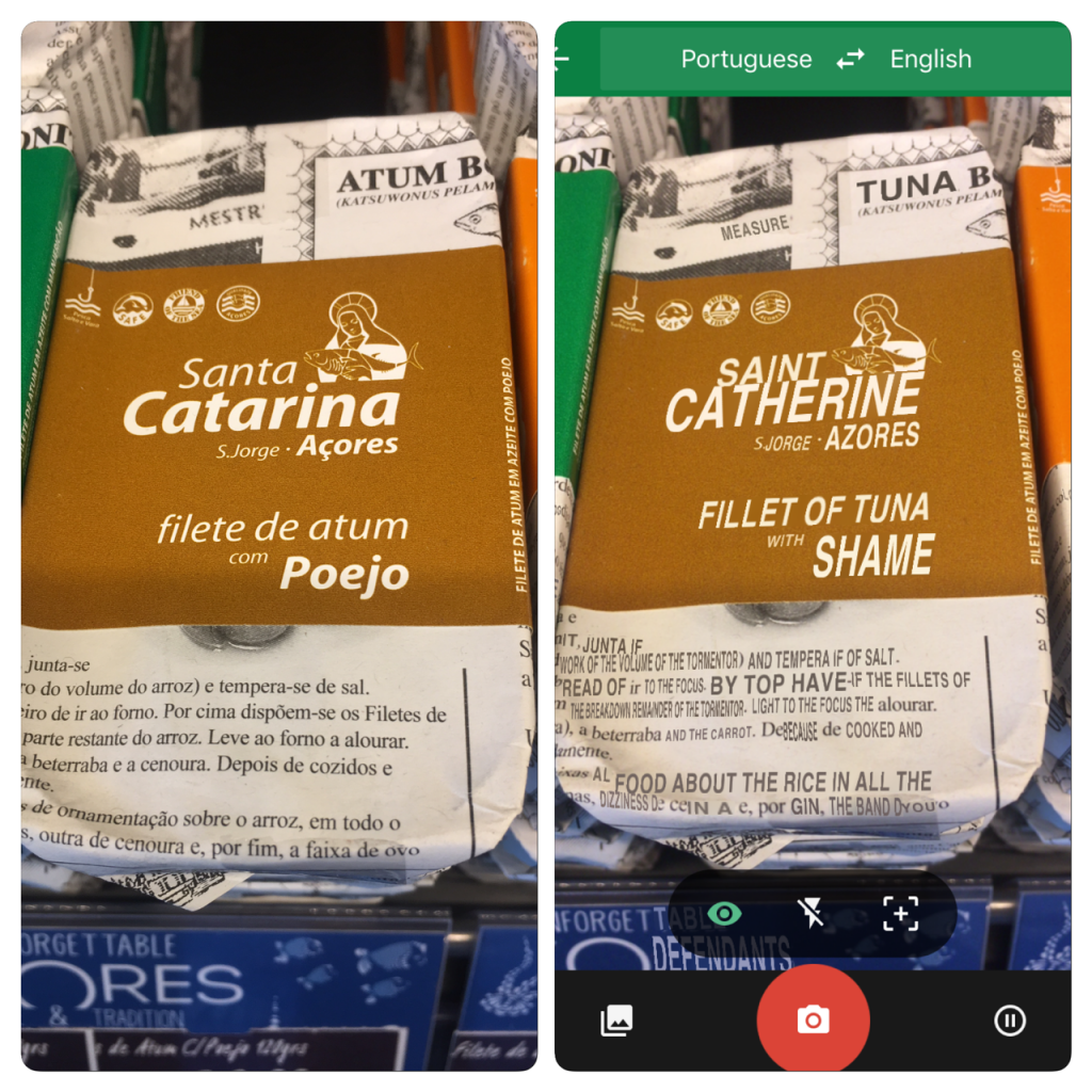 Google Translate Tuna Azores