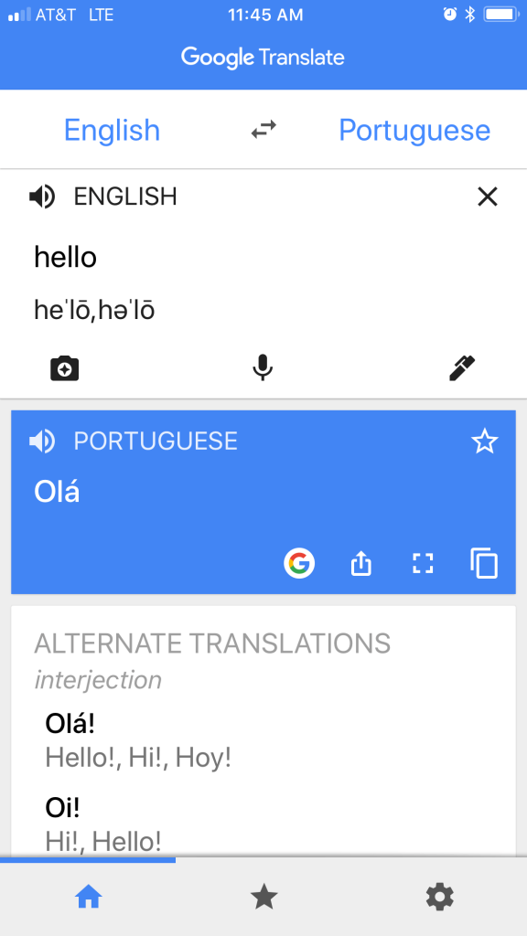 google translate