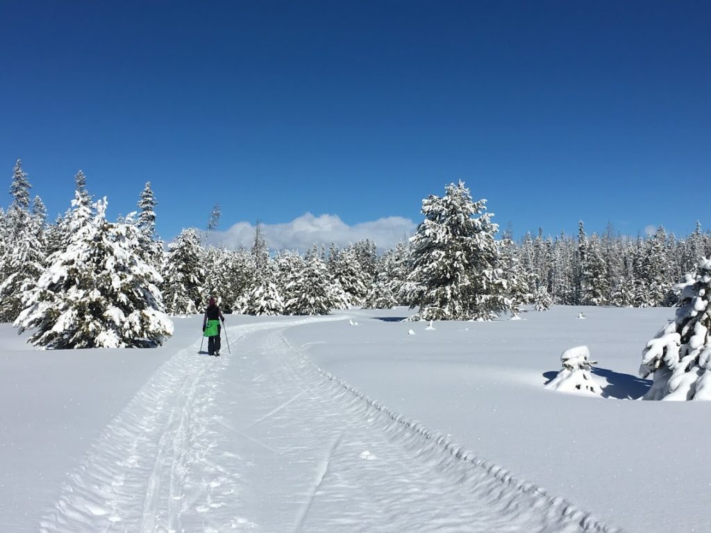 blue skies cross-country skiing idaho winter travel