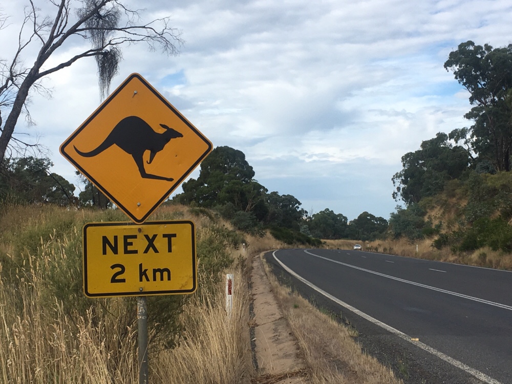 Kangaroo crossing sign in Australia, travel resolution, saving money