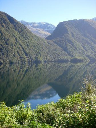 New Zealand road trip