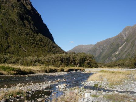 New Zealand road trip