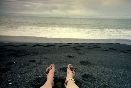 New Zealand road trip