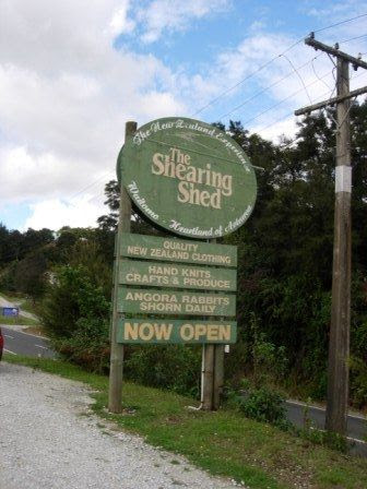 New Zealand road trip