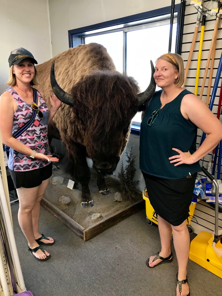 stuffed bison