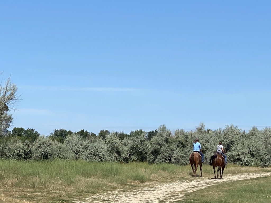Horseback riding at Eagle Island State Park