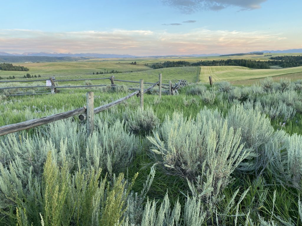 Teton Mountain Range