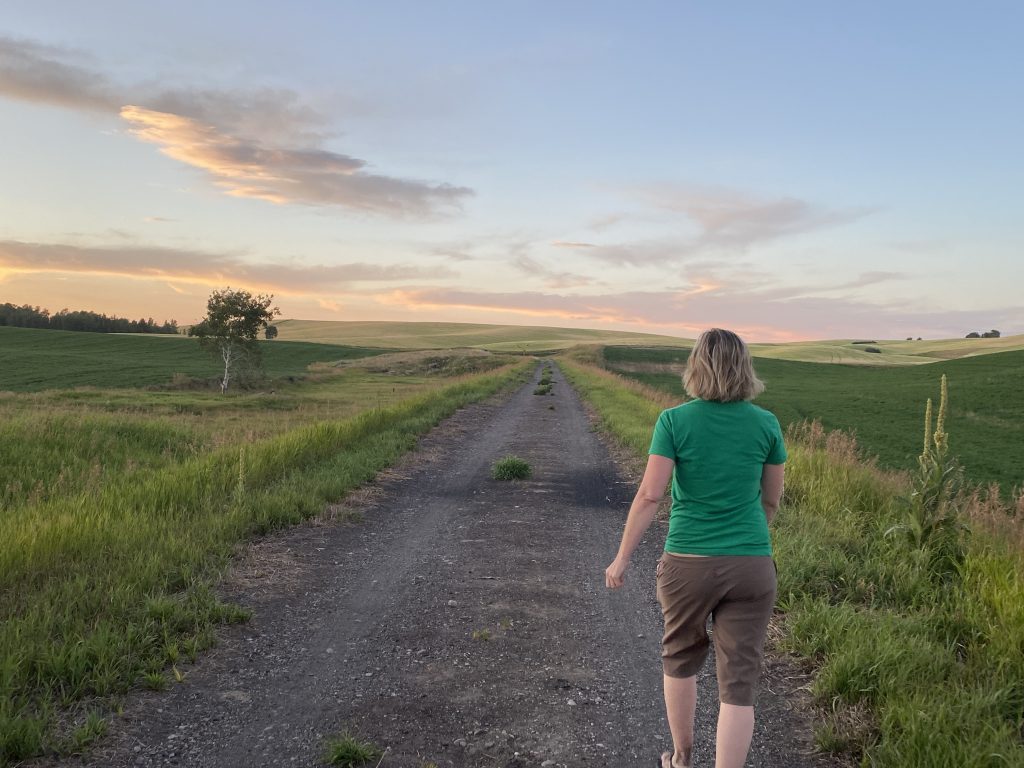 Ashton to Tetonia Trail