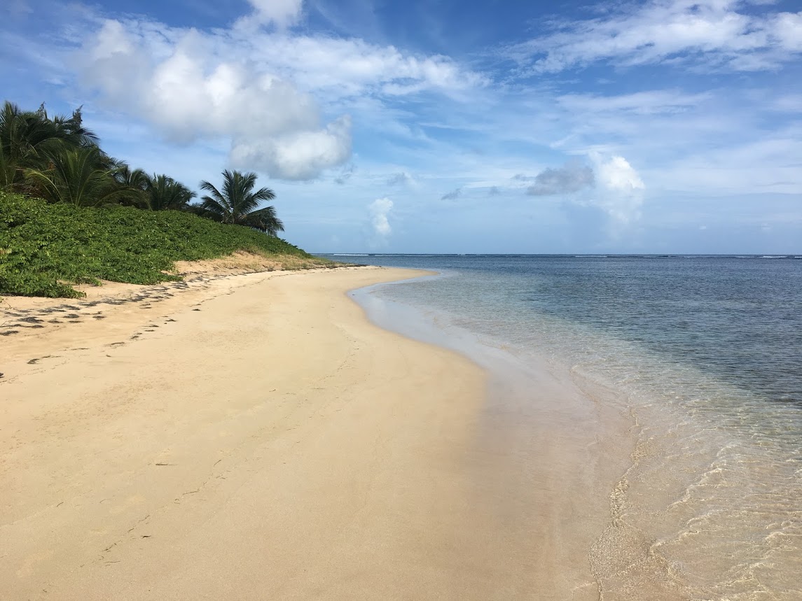 Empty beach on Puerto Rico.