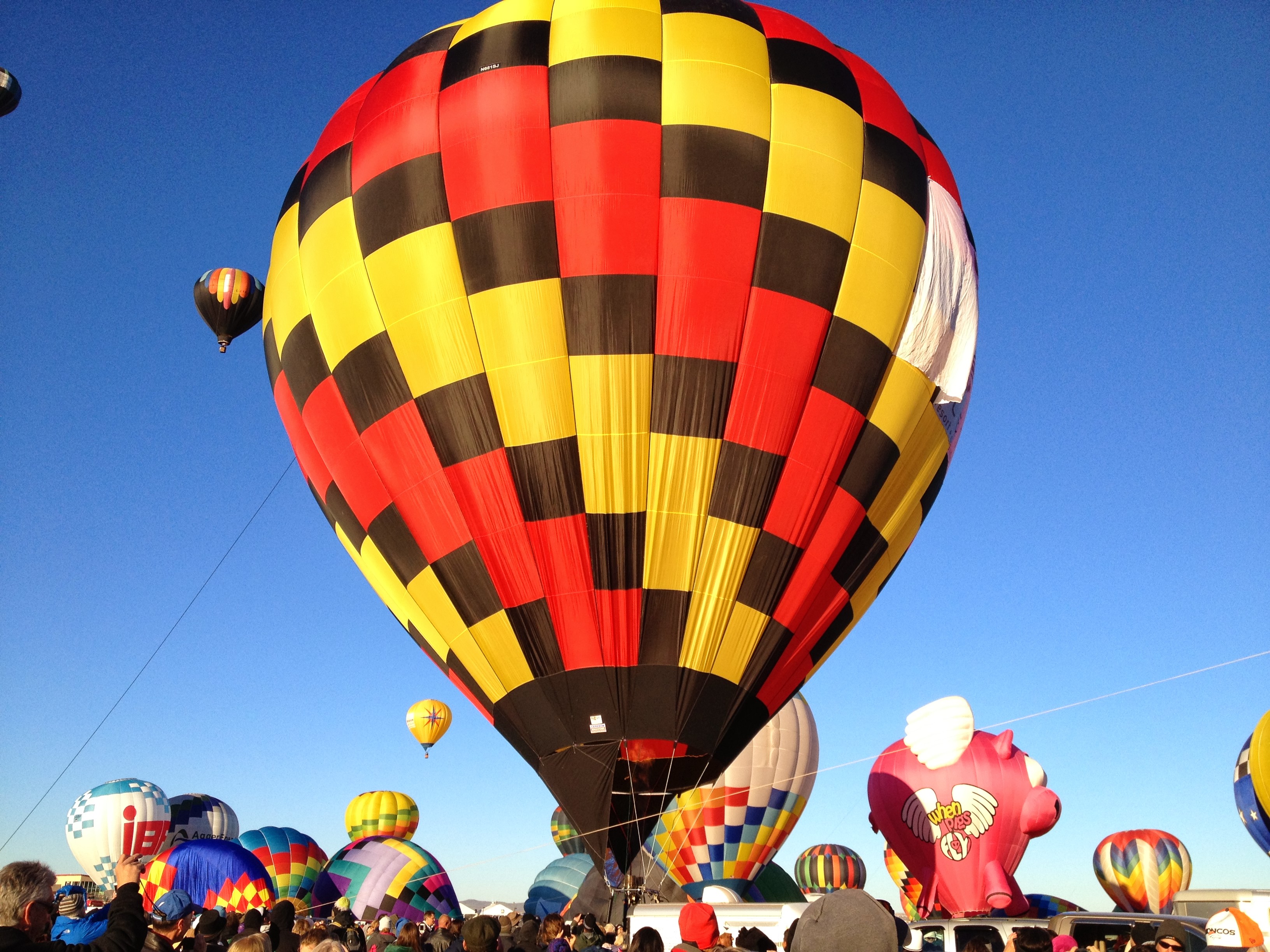 Balloon at the Fiesta