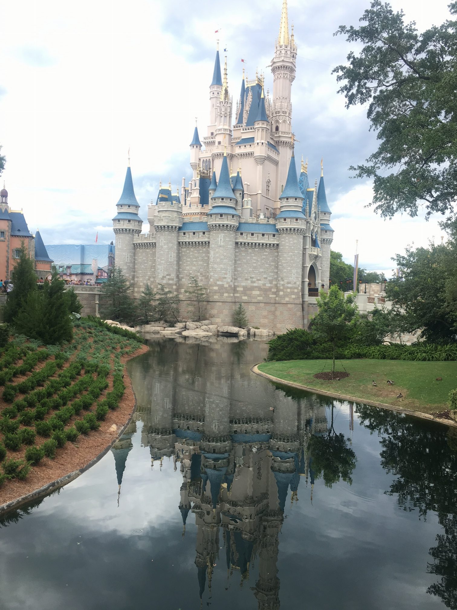 Castle at the Magic Kingdom