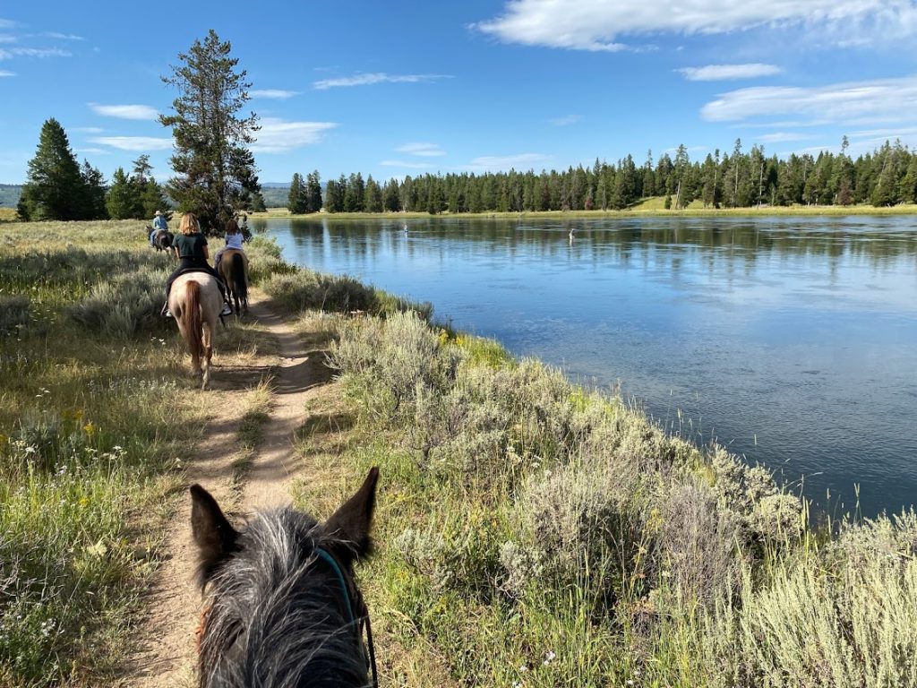 Horseback riding at Harriman State Park of Idaho