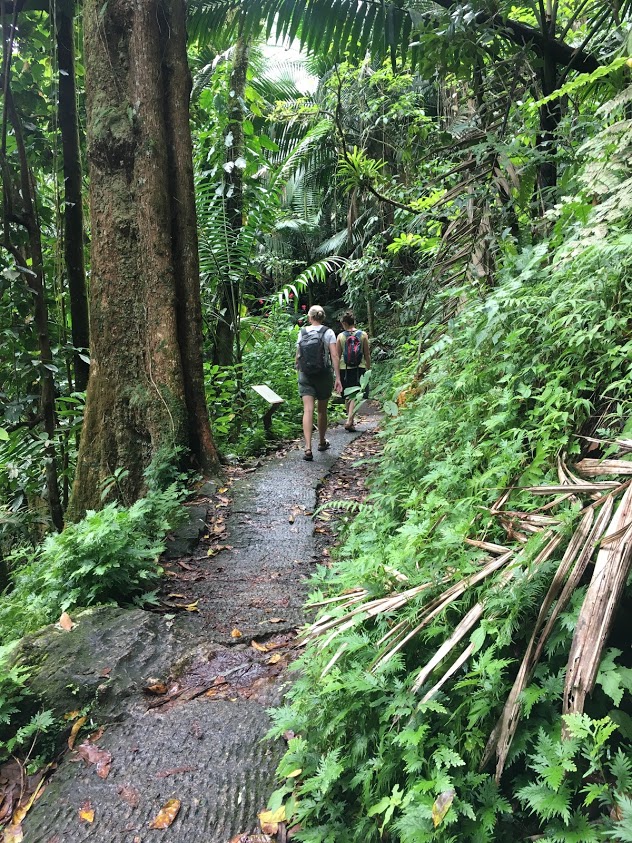two friends hiking in Puerto Rico