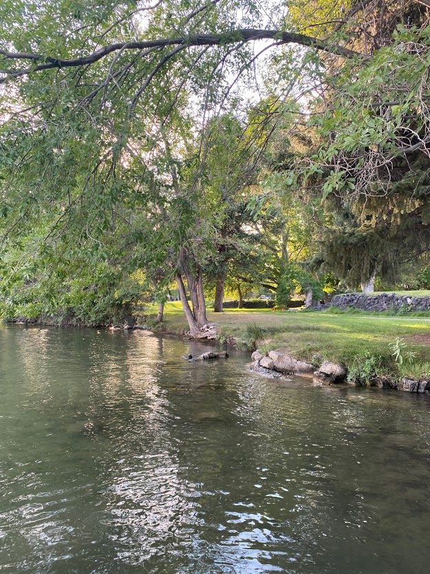 Green riverbank at Walcott State Park