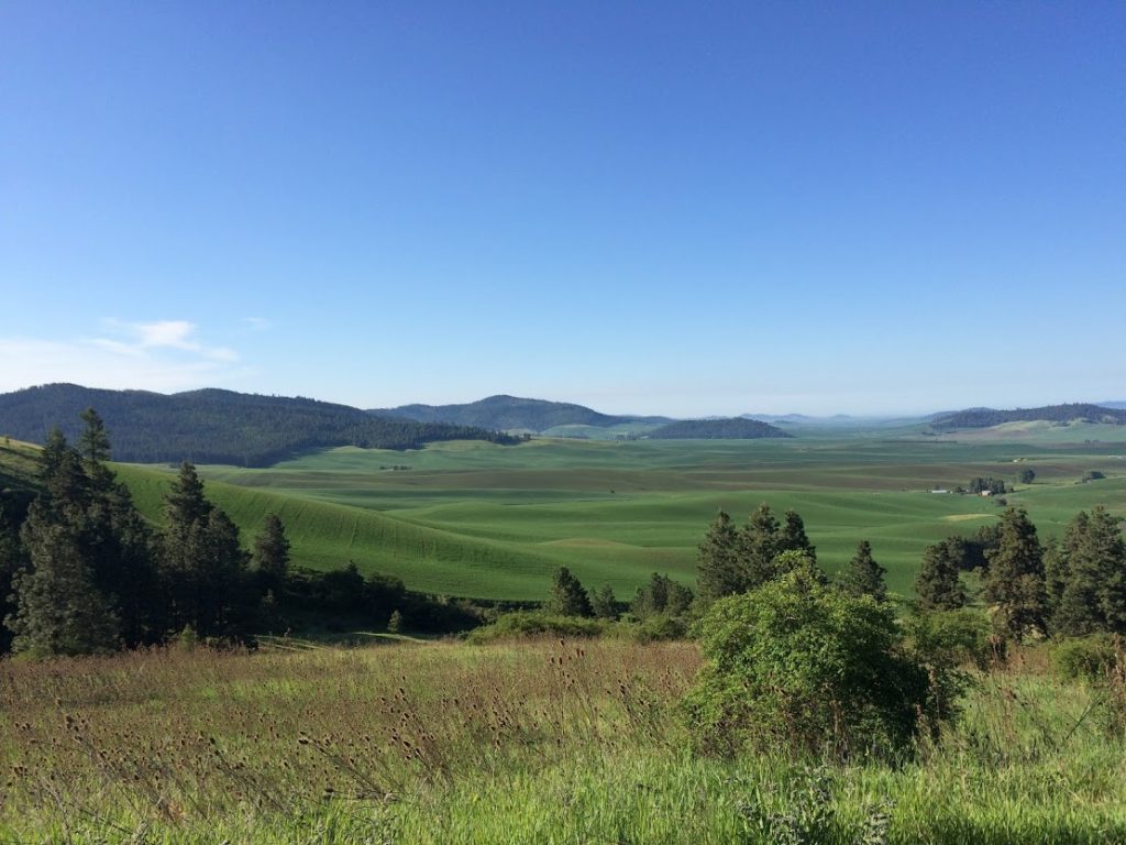 Spring at Mary McCroskey State Park