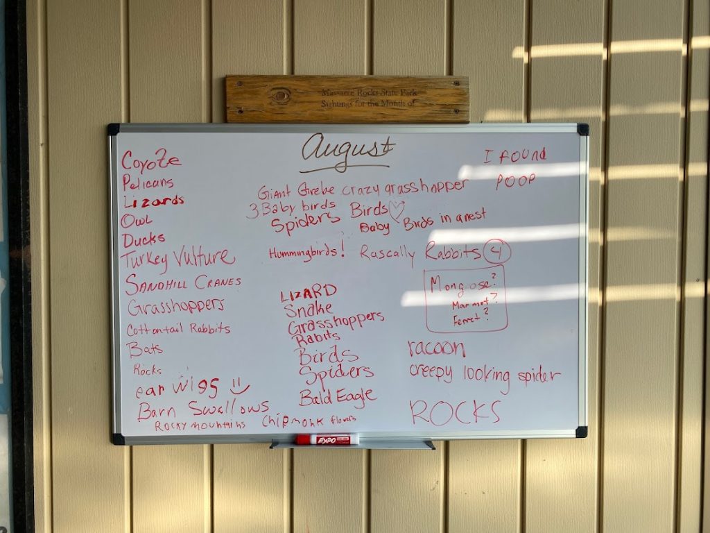 White board with a list of amimals