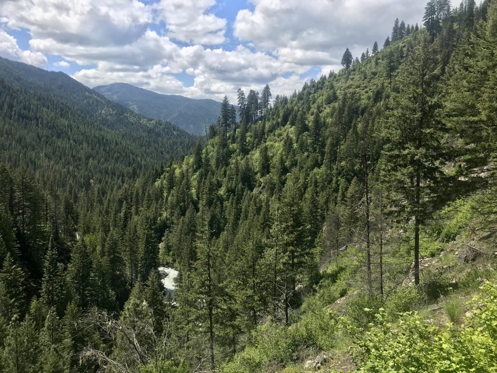 Clearwater National Forest