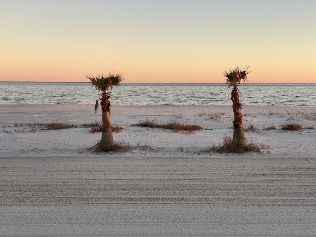 Two palm trees at dusk on the Mississippi Gulf Coast.