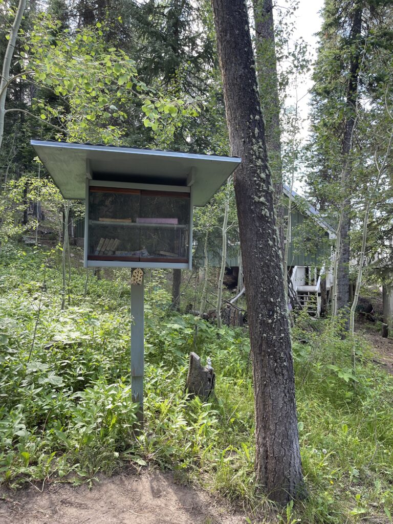 Little Free Library in Casper, Wyoming