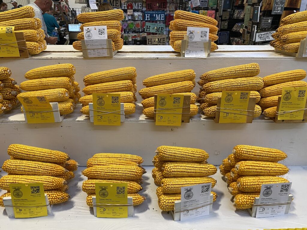 Yellow corn cobbs at the Nebraska State Fair. The state fair is a great work and travel in Omaha experience.