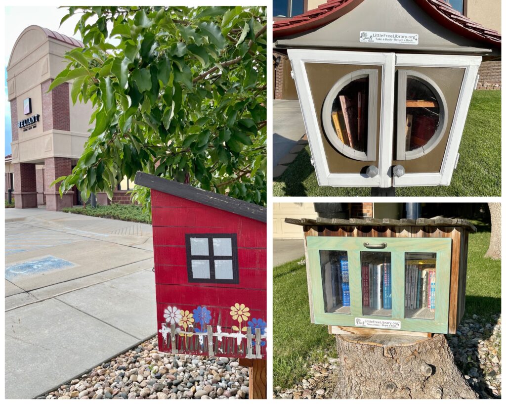 Different Little Free Libraries