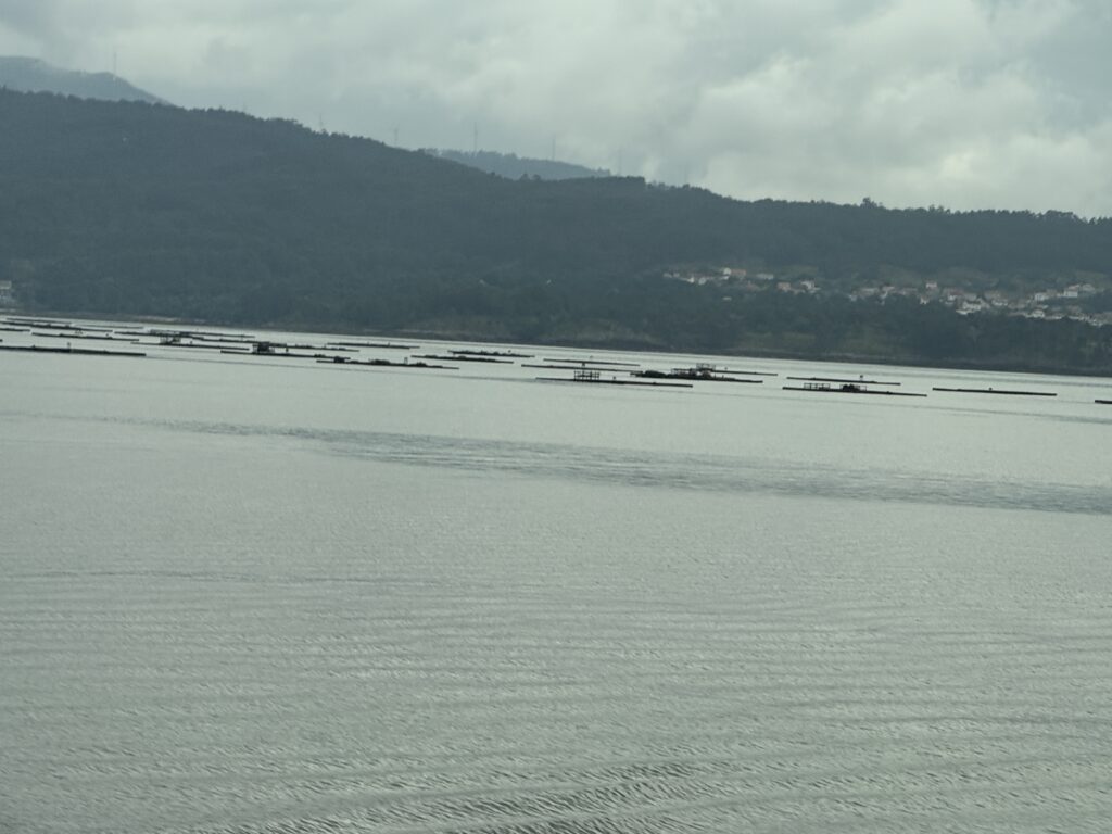 Fishing in Galicia