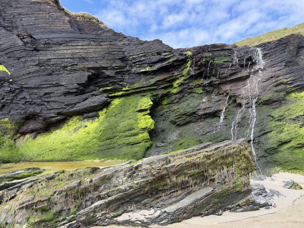 Algae on rocks with blue sky