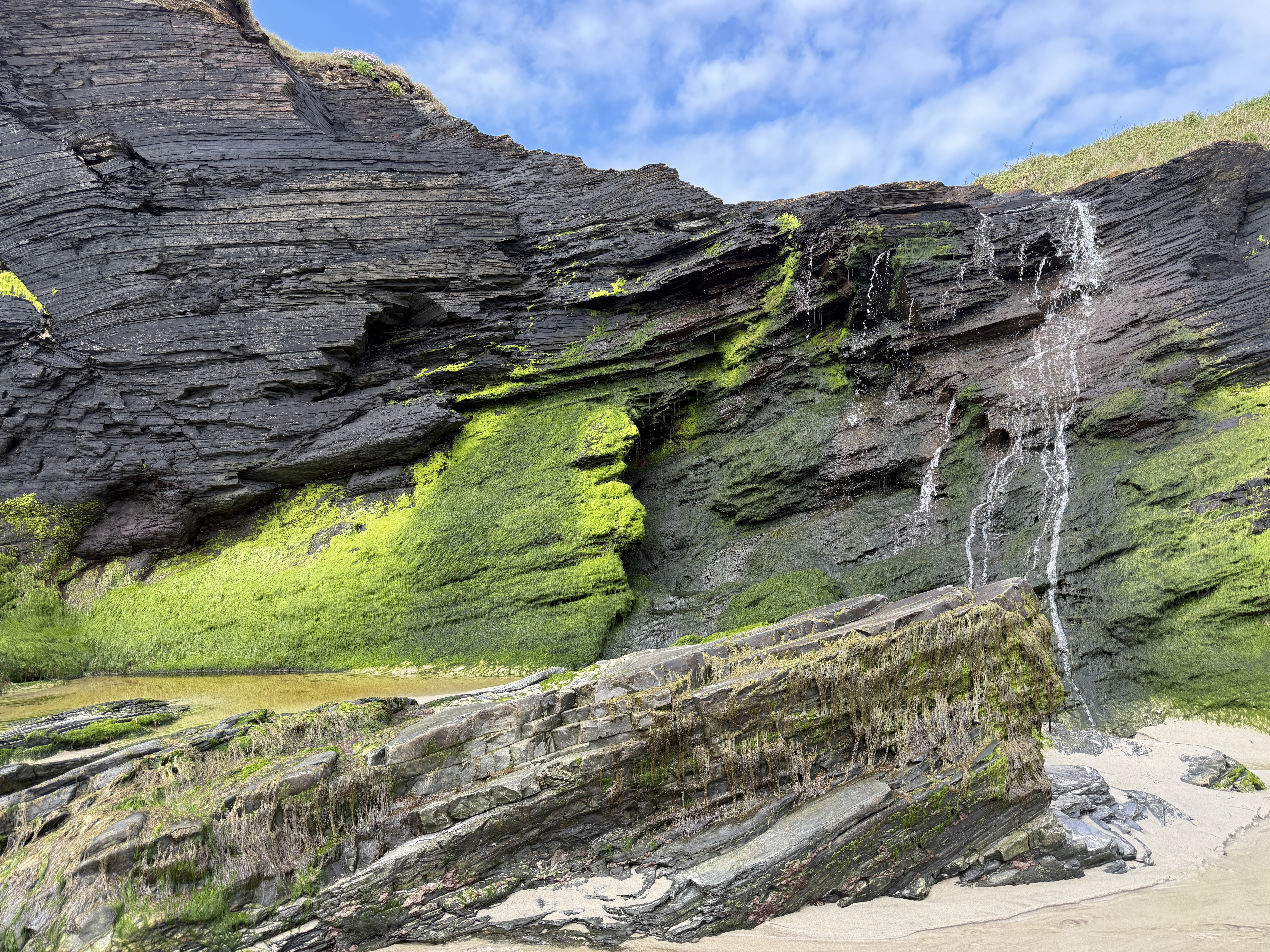 Algae on rocks with blue sky