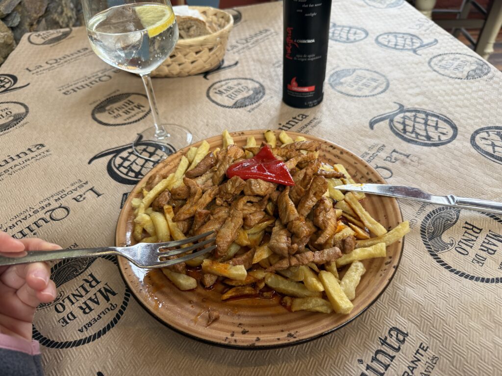 Pork and French fry dish.