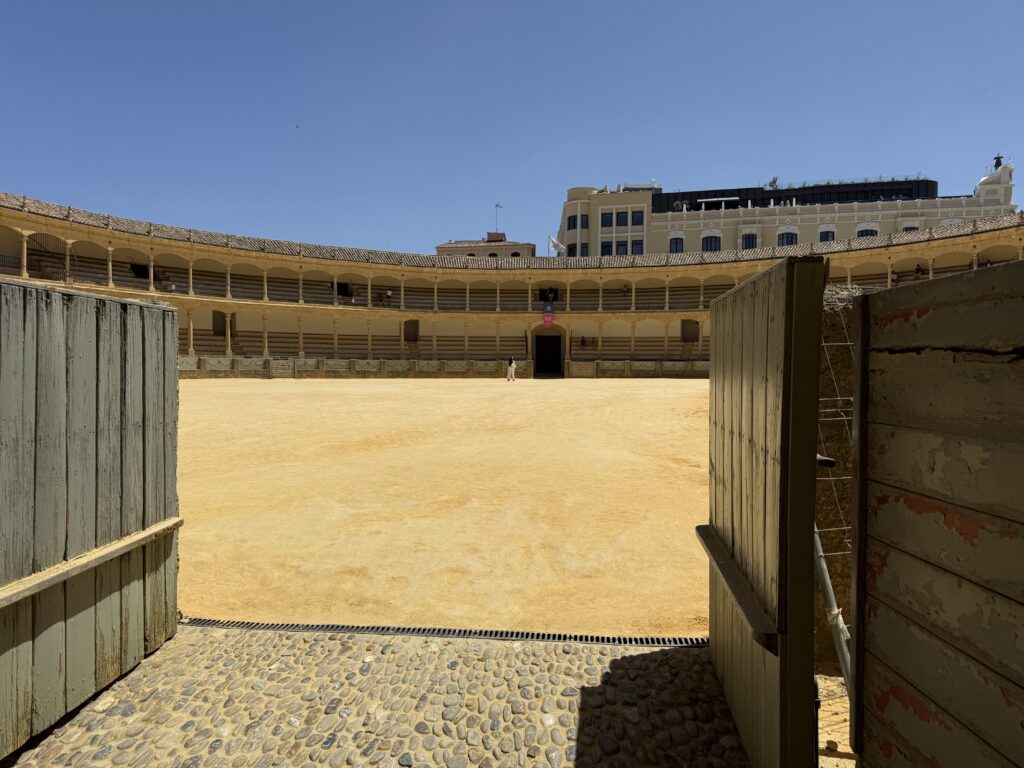 Yellow bull fighting ring
