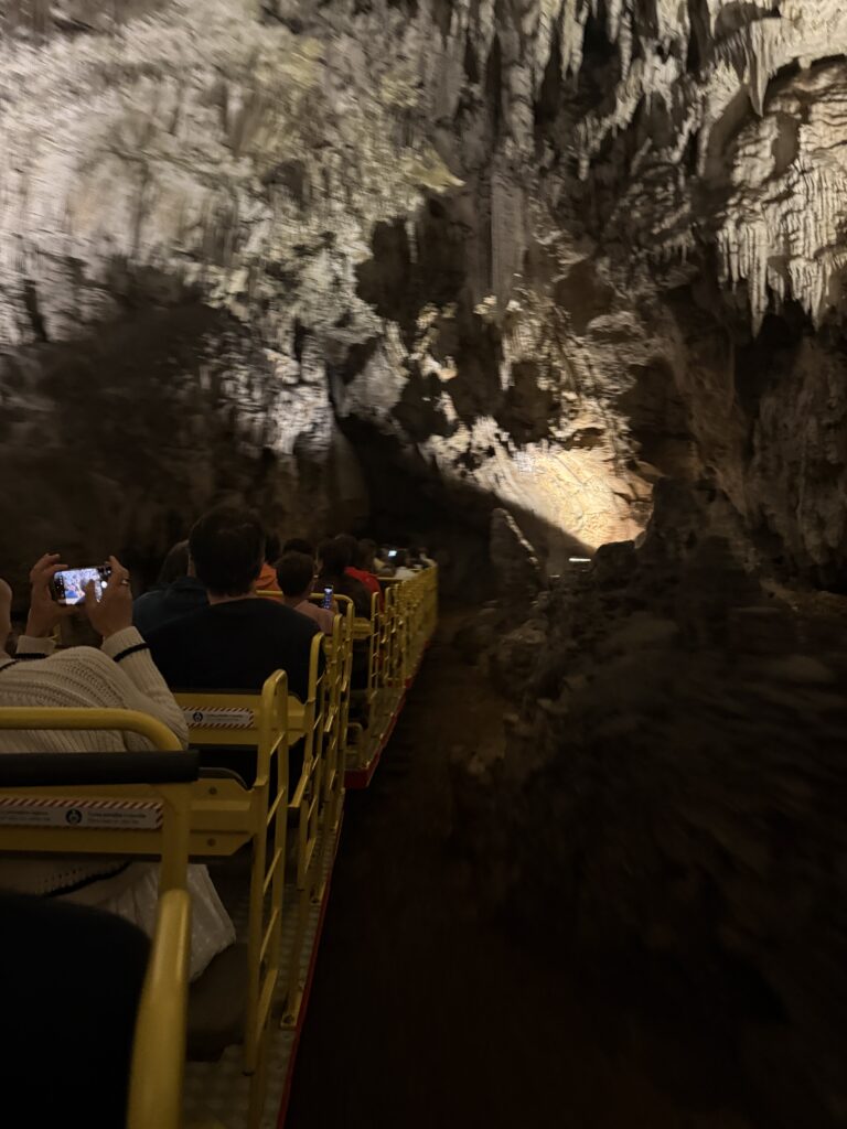 small train on track inside cave with stalactites 