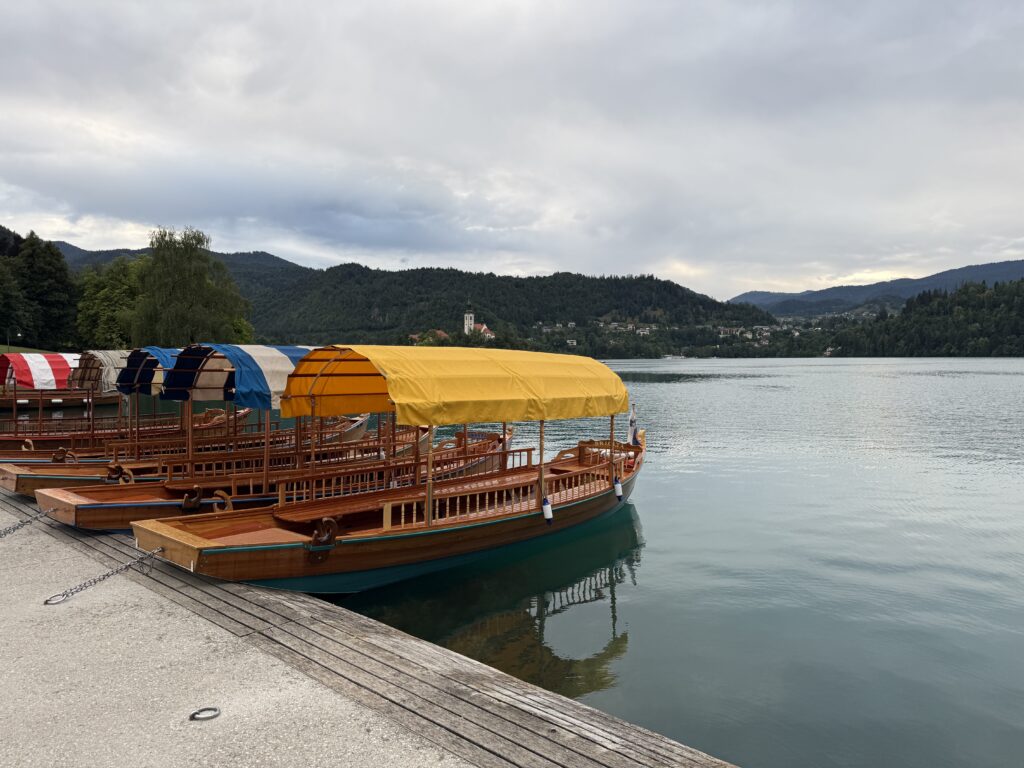 strange looking wood boats