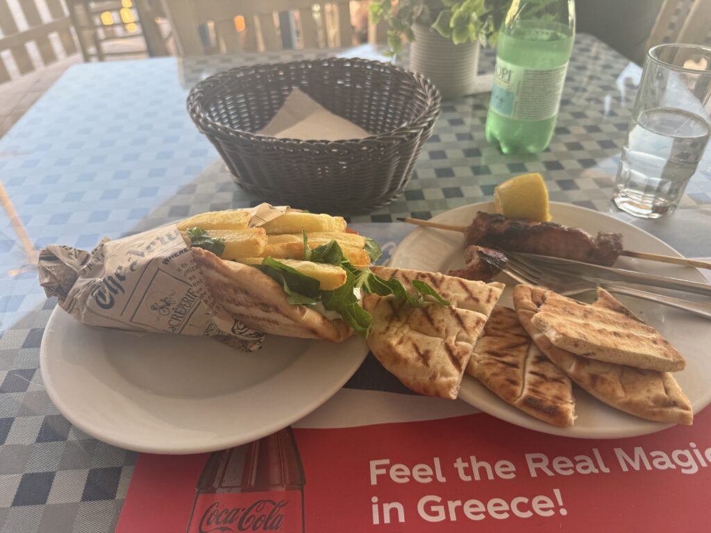 Pita bread and gyro with fries 