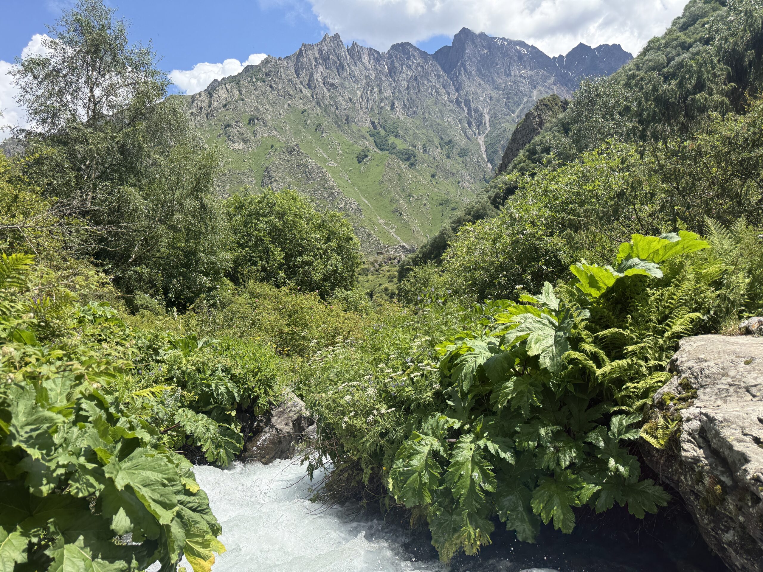 Green mountain with river