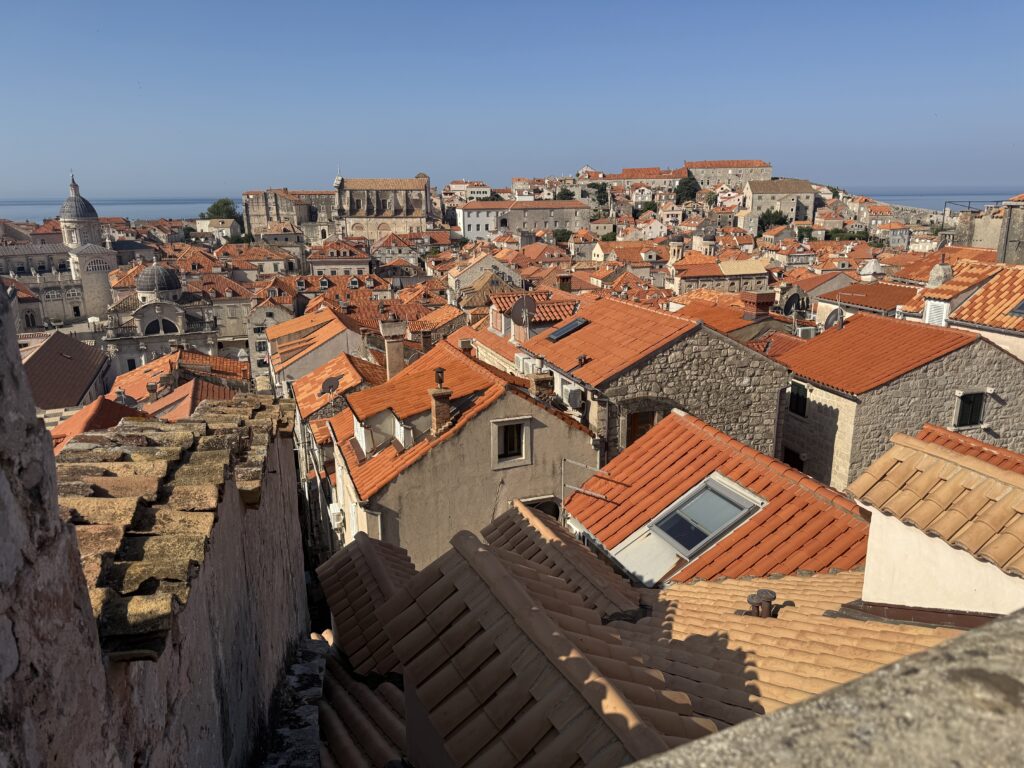 red roofs of city